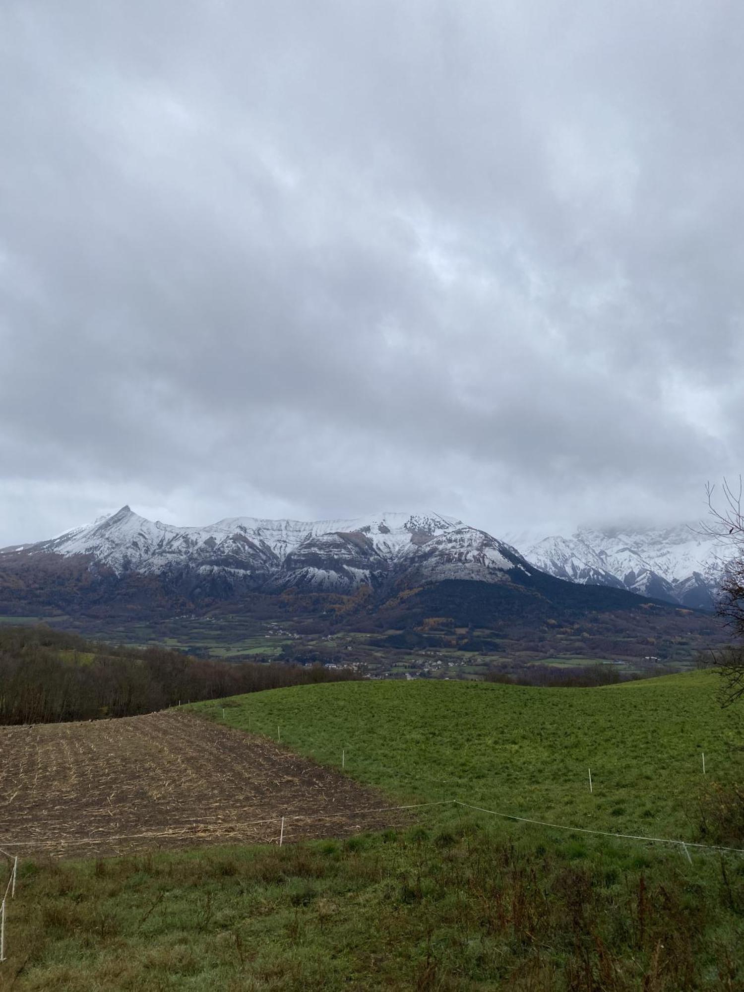 La Rose Des Vents Apartment Saint-Bonnet-en-Champsaur Bagian luar foto